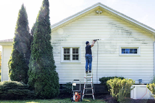 Best Gutter Cleaning  in Lone Oak, TN